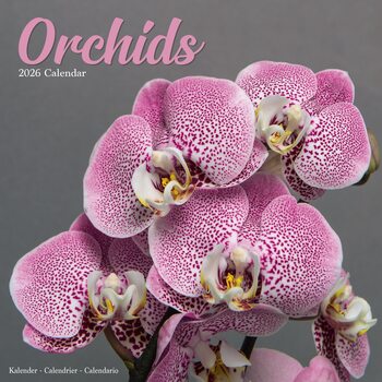 Calendar 2026 Orchids