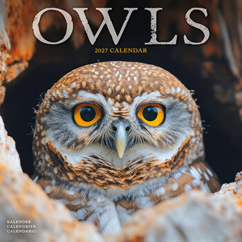 Calendar 2027 Owls