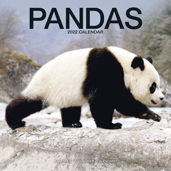 Ημερολόγιο 2027 Pandas