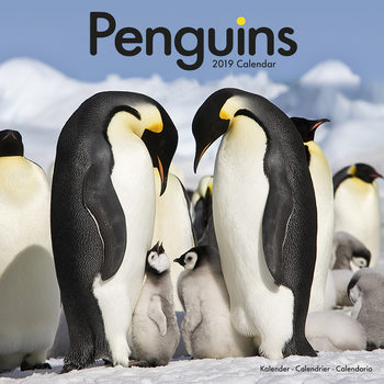 Ημερολόγιο 2027 Penguins