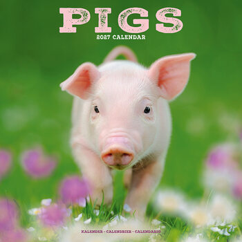 Calendar 2027 Pigs