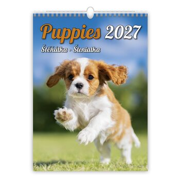Ημερολόγιο 2027 Puppies