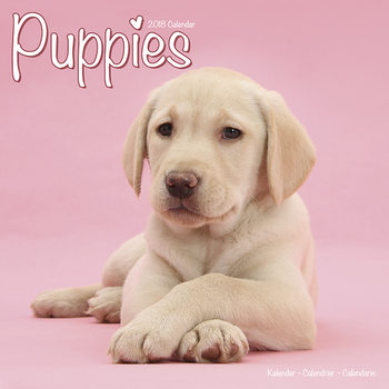 Calendar 2027 Puppies