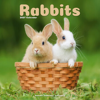 Calendar 2027 Rabbits