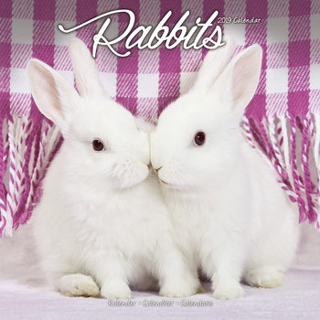 Ημερολόγιο 2027 Rabbits