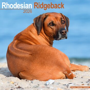 Calendar 2027 Rhodesian Ridgeback