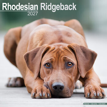 Calendar 2027 Rhodesian Ridgeback