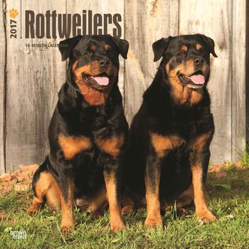 Calendar 2017 Rottweilers
