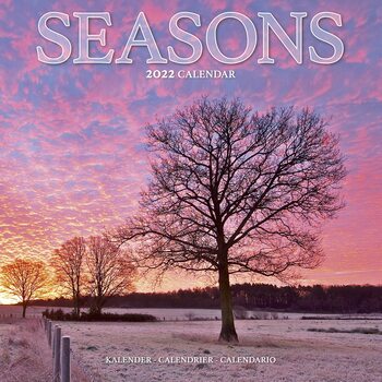 Calendar 2022 Seasons