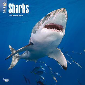 Calendar 2018 Sharks