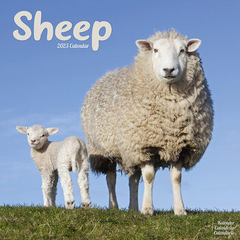 Calendar 2023 Sheep