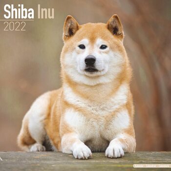 Calendar 2022 Shiba Inu