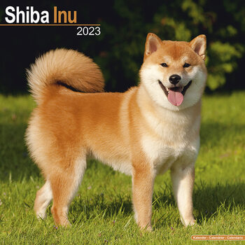 Calendar 2023 Shiba Inu