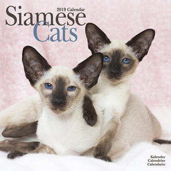 Calendar 2027 Siamese