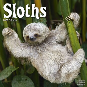 Ημερολόγιο 2027 Sloths