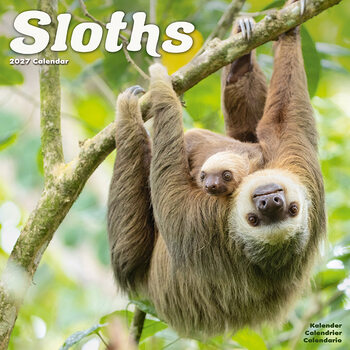 Calendar 2027 Sloths