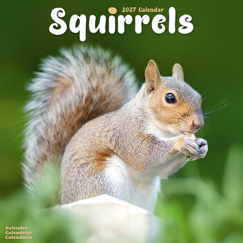 Calendar 2027 Squirrels