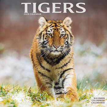 Calendar 2024 Tigers