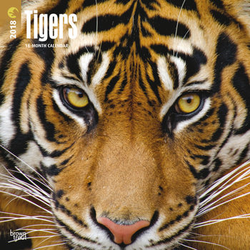 Calendar 2018 Tigers