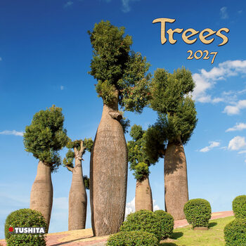 Calendar 2027 Trees | 16-month