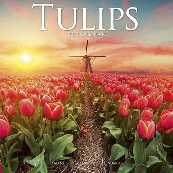 Calendar 2022 Tulips