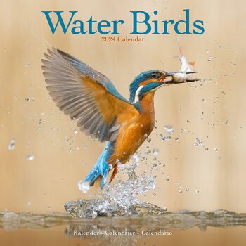 Calendar 2024 Water Birds