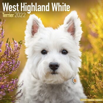 Calendar 2022 West Highland Terrier