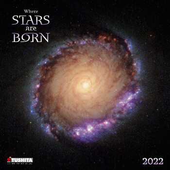 Calendar 2022 Where Stars Are Born