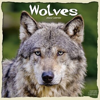 Ημερολόγιο 2027 Wolves