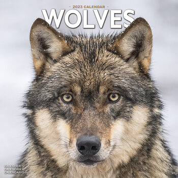 Calendar 2023 Wolves