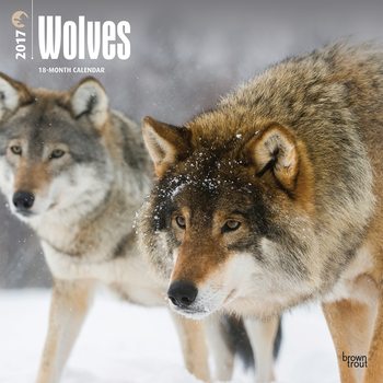 Calendar 2018 Wolves