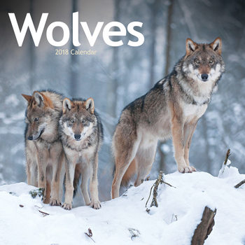 Calendar 2018 Wolves
