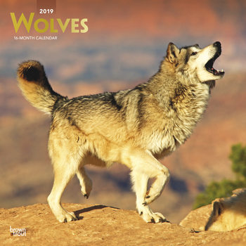 Calendar 2027 Wolves