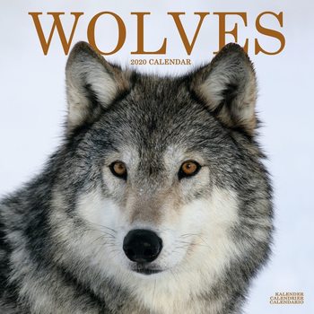 Ημερολόγιο 2027 Wolves