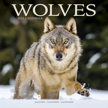 Calendar 2027 Wolves