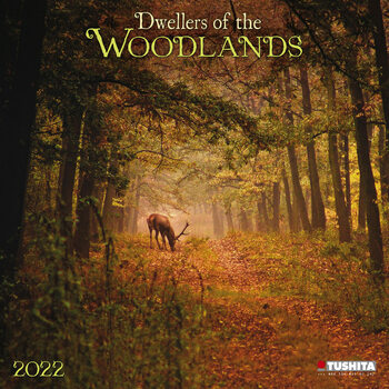 Calendar 2022 Woodlands