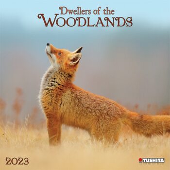 Calendar 2023 Woodlands