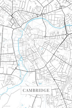 Принти на полотні Cambridge white