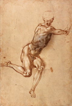 Canvas Print A seated male nude twisting around, c.1505