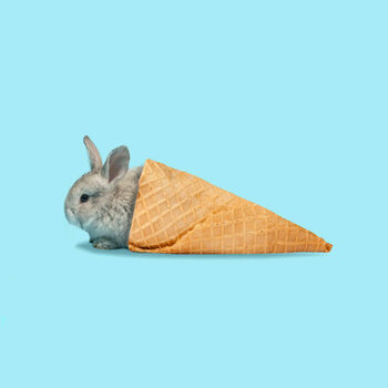 Canvas Print Adorable Easter bunny isolated on blue