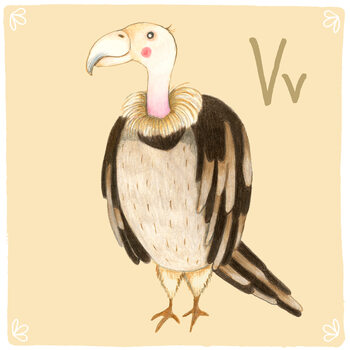 Canvas Print Alphabet - Vulture