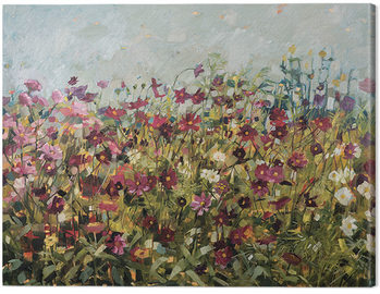 Canvas Print Anne-Marie Butlin - Pink Cosmos