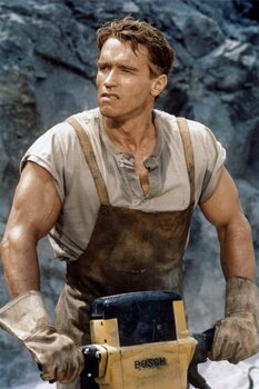 Canvas Print Arnold Scharzenegger, Total Recall