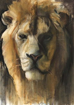 Canvas Print Asiatic Lion, 2015,