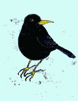 Canvas Print Blackbird,2008