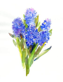 Canvas Print Blue Hyacinth, 2014,
