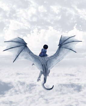 Canvas Print Boy riding the dragon