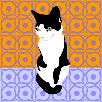 Canvas Print Cat on Morrocan Tiles