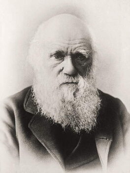 Canvas Print Charles Darwin