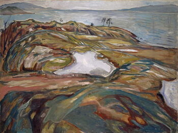 Canvas Print Coastal Landscape